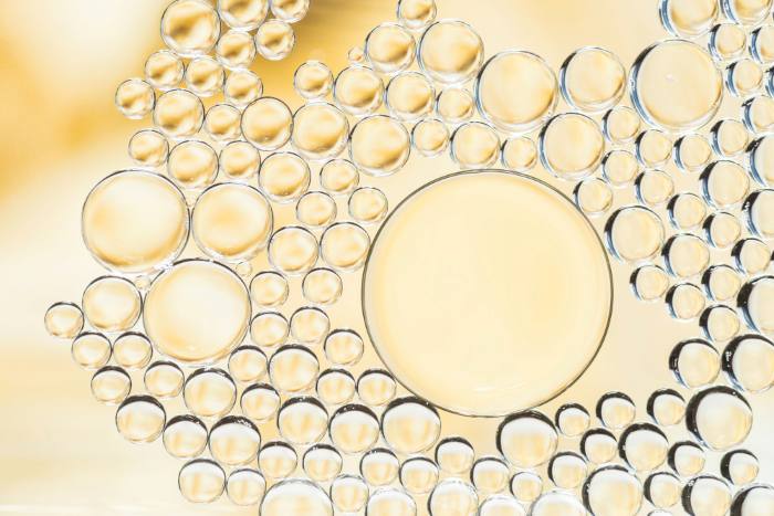 Skincare illustration showing ceramide lipids that help strengthen the skin barrier