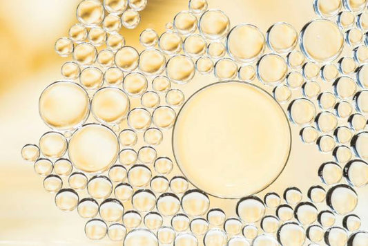 Skincare illustration showing ceramide lipids that help strengthen the skin barrier